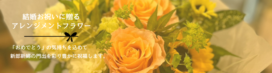 結婚祝いの胡蝶蘭のトップバナー